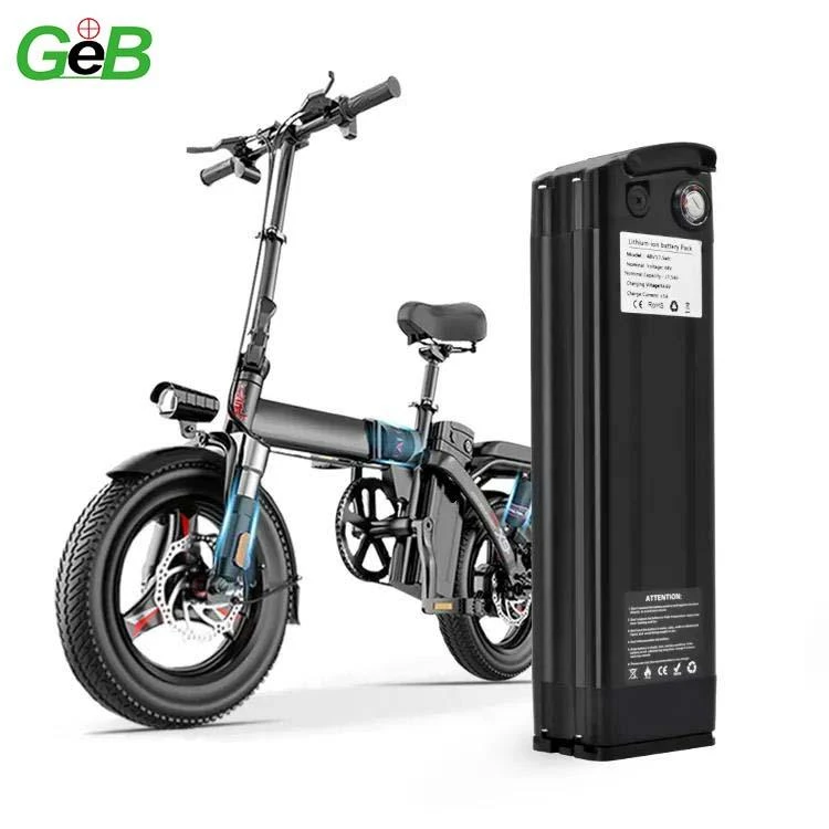 36V 1000W ebike 배터리