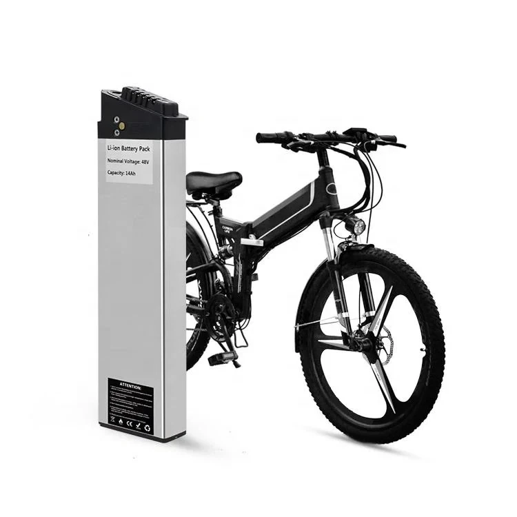48V 1000W ebike 배터리