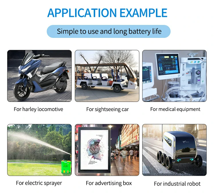 Customized Ebike Battery Pack