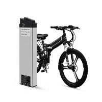 48V 1000W ebike 배터리